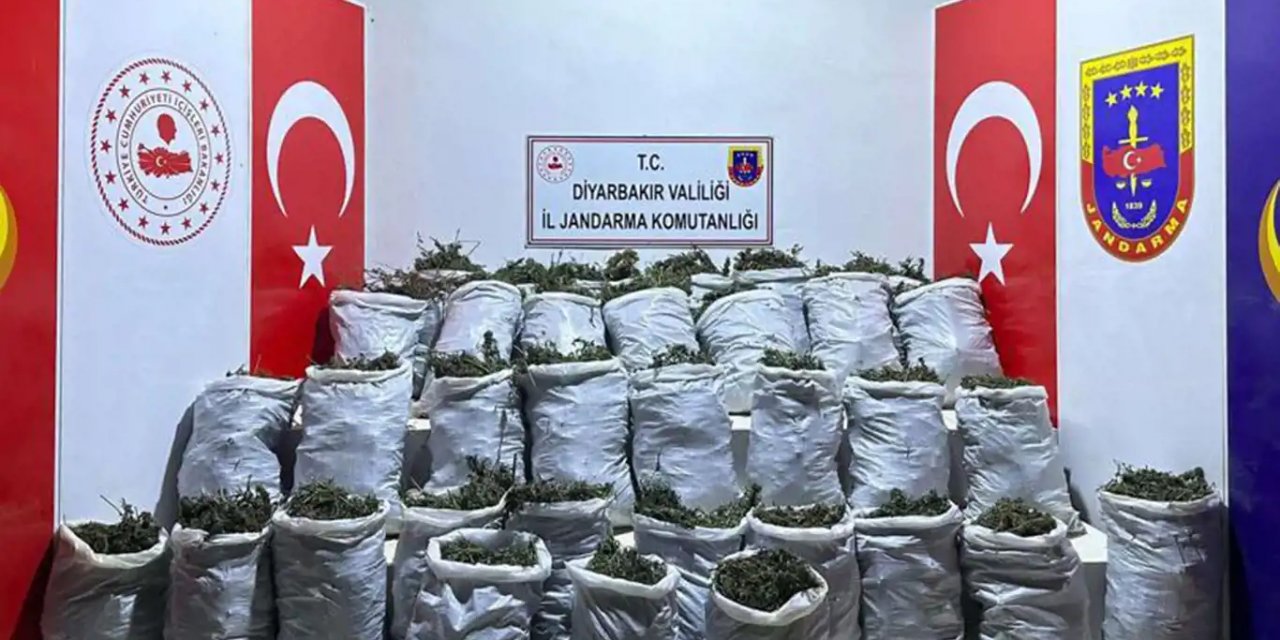 Diyarbakır'da uyuşturucu operasyonu: 202 kilogram esrar, 10 bin kök bitkisi ele geçirildi