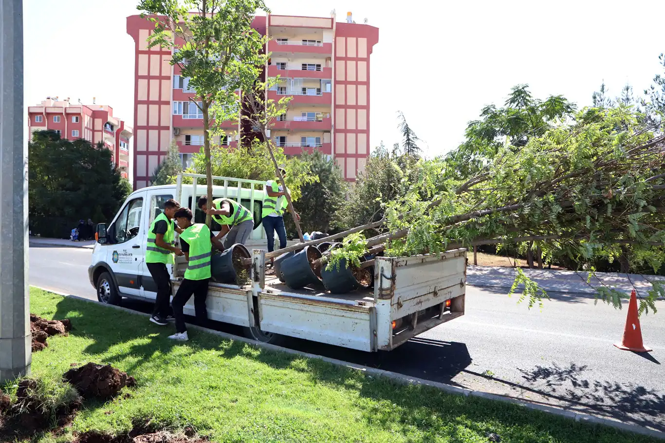 Pasur caddesi ağaçlandırıldı