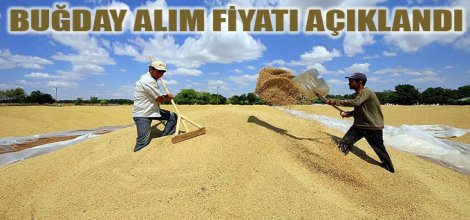 Hububat alım fiyatları açıklandı