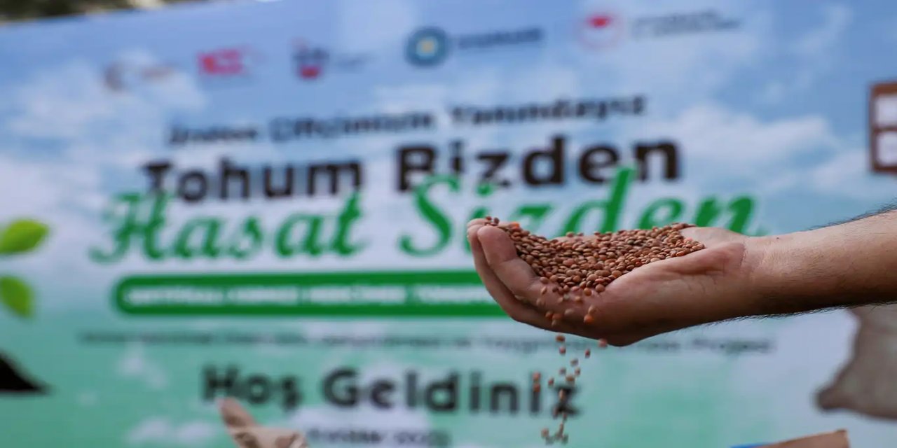 Diyarbakır'da çiftçilere kırmızı mercimek tohumu desteği
