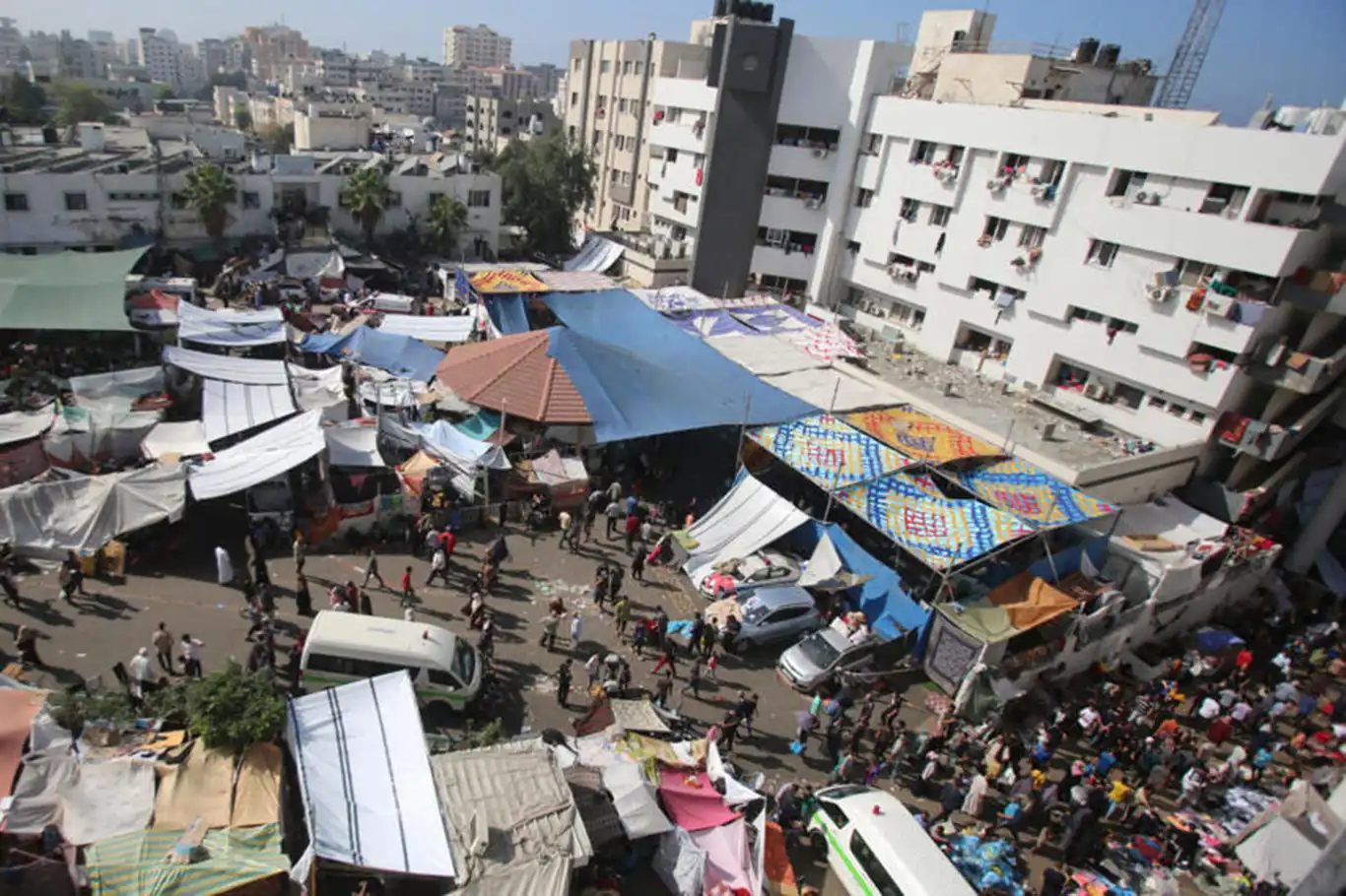 NY: Divê nexweşxane nebin sehaya herbê