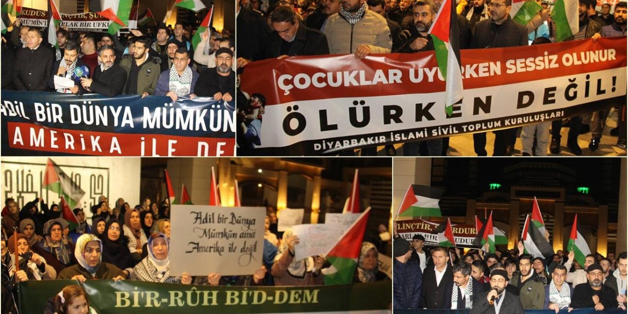 ABD’nin BM Güvenlik Konseyi vetosuna Diyarbakır'dan tepki