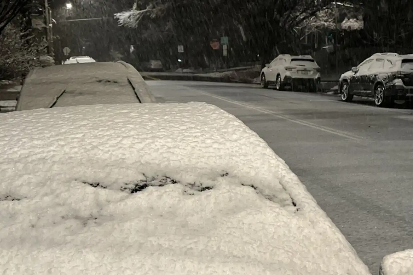 Li Wanê barîna berfê tesîrdar bû