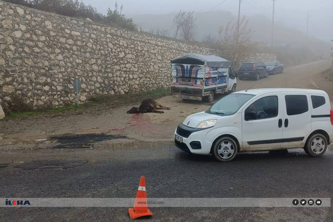 Qemyonek li keriyê dewara qelibî: 7 dewar mirin