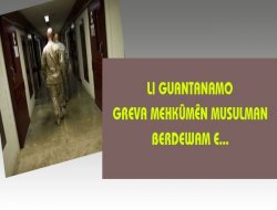 Li Guantanamoyê Greva Birçîbûnê