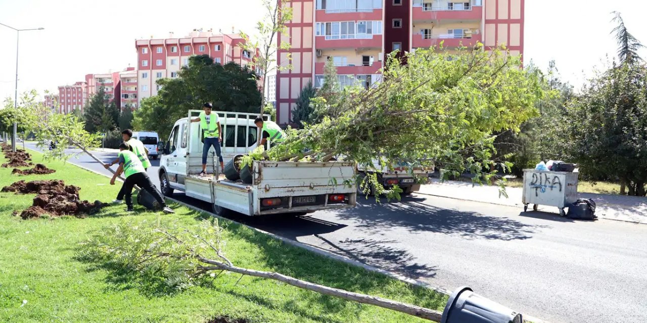 Diyarbakır'da 451 bin metrekare peyzaj çalışması yapıldı