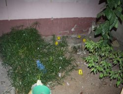 Mersin'de eve ses bombalı saldırı