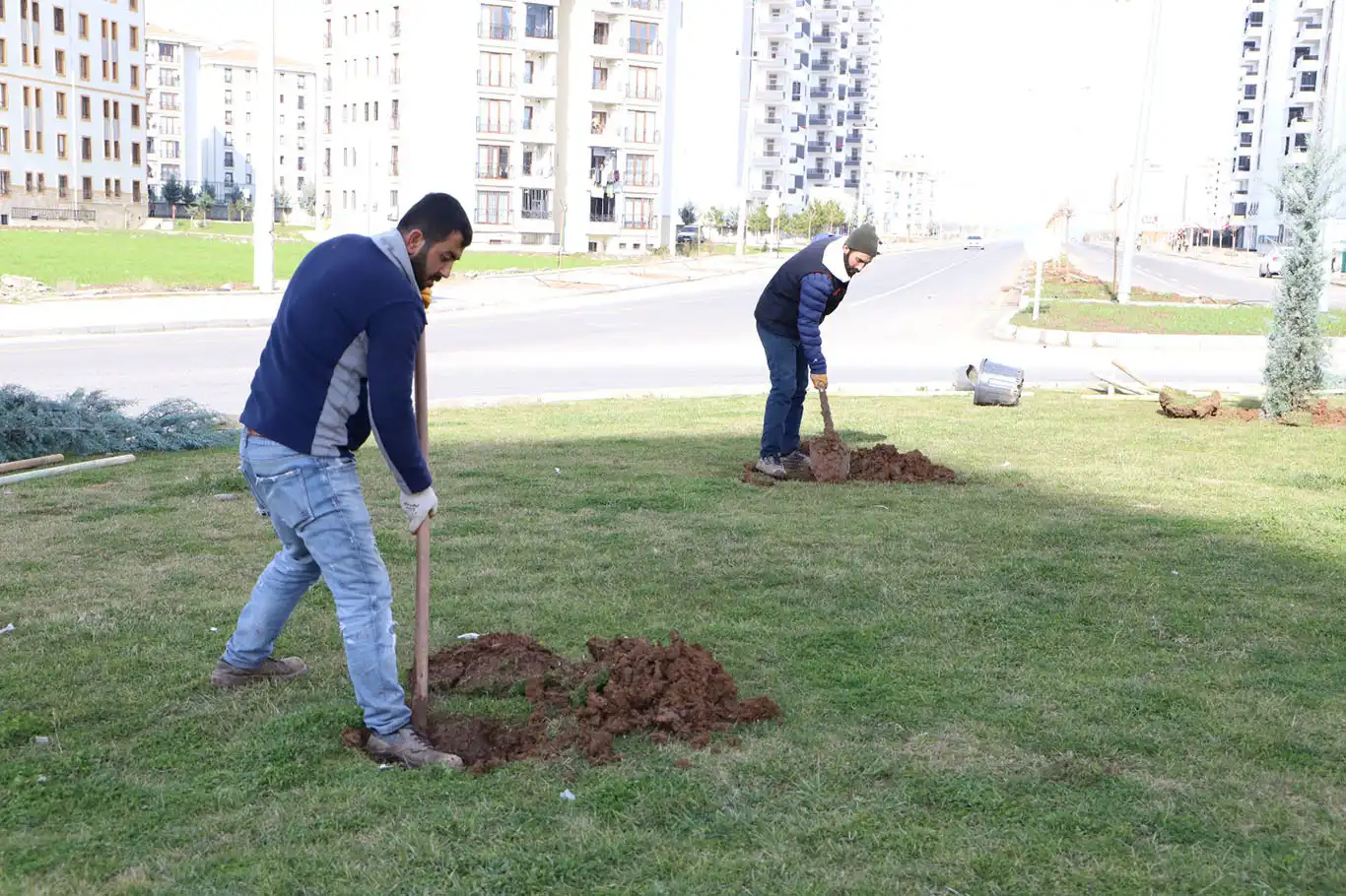 Diyarbakır'da ağaçlandırma çalışmaları devam ediyor