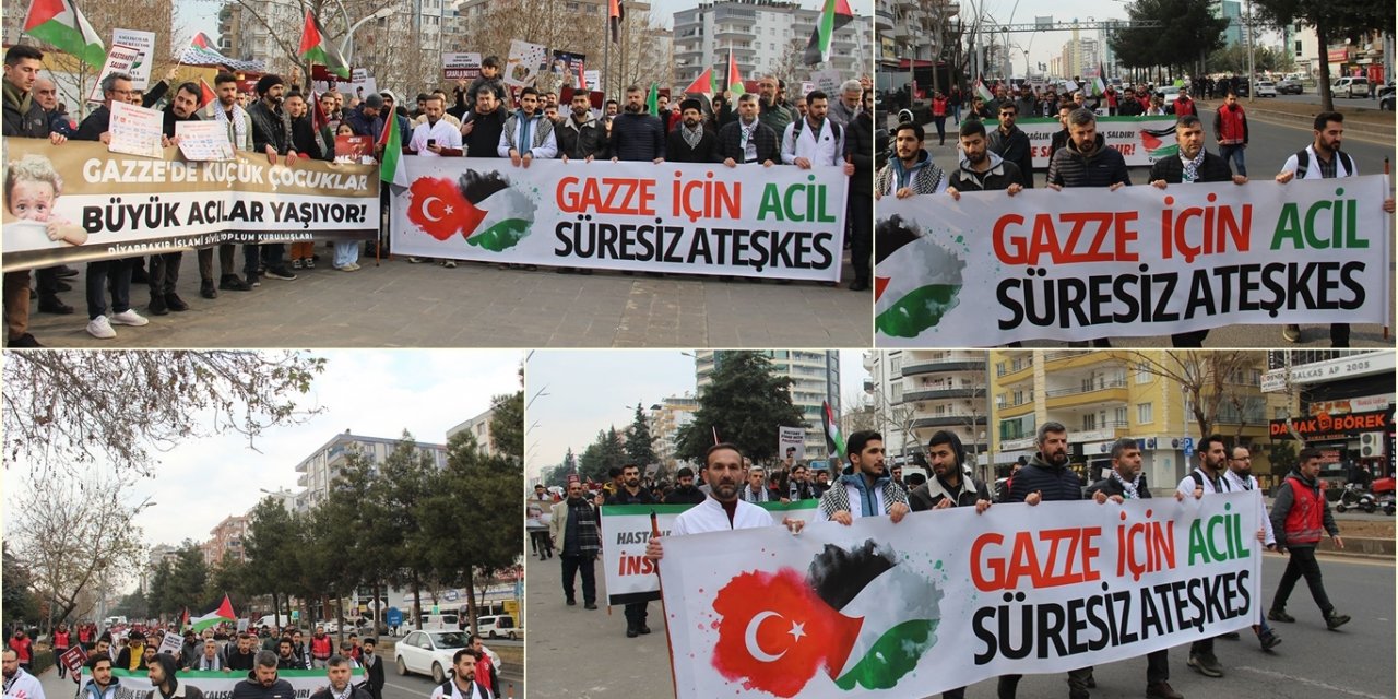 Diyarbakır'da hekimlerin sessiz yürüyüşü 12'nci haftasında da devam etti