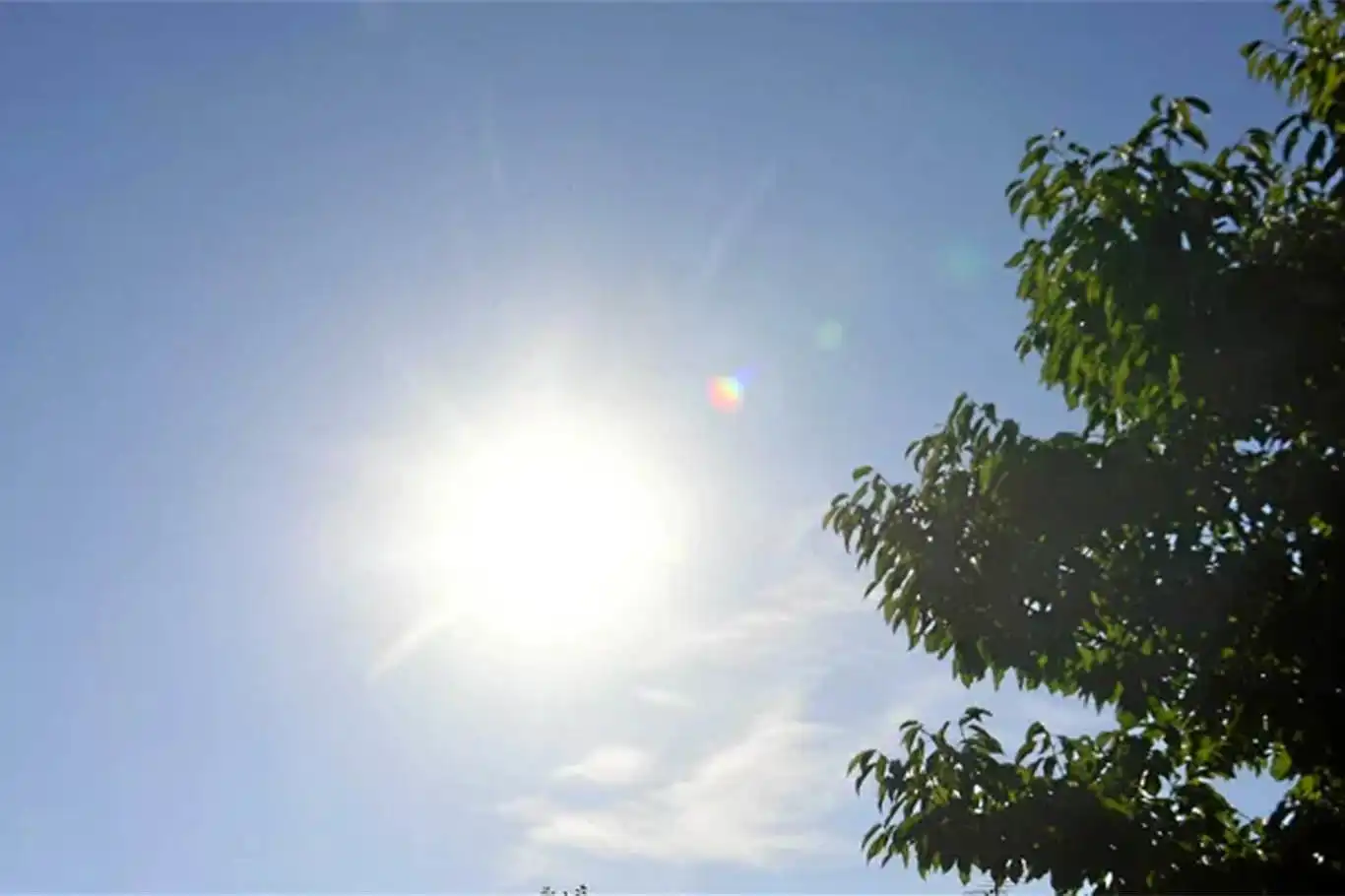 Li Fransayê di sala 2023yan de 5 hezar mirov ji germana mirine