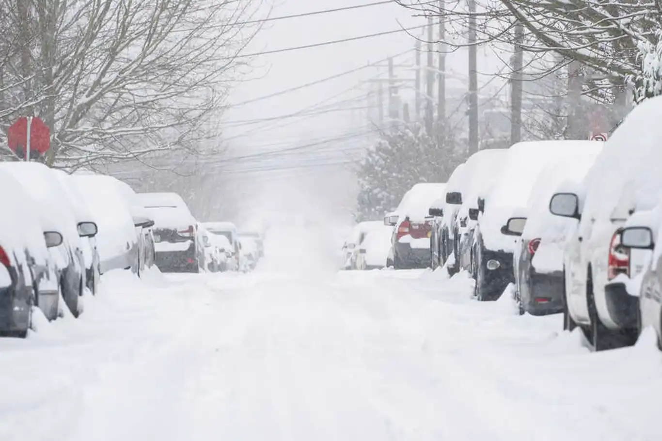 Li Colemêrgê berf barîya