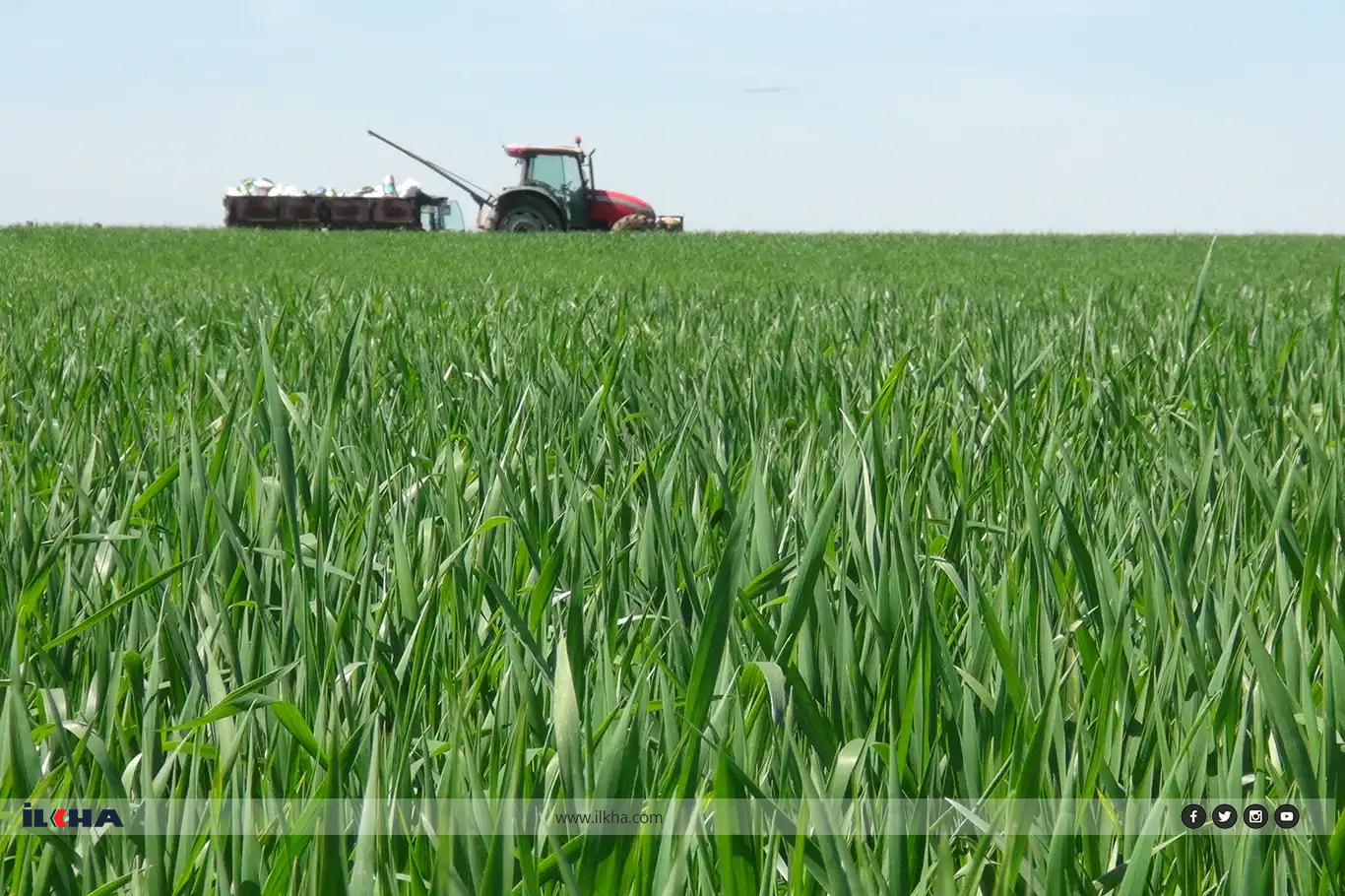 Ziraat Mühendisi Ebubekir Doğan: Bu sene hububatta iyi bir rekolte bekliyoruz