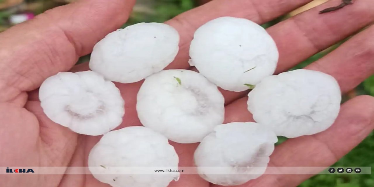 Li Çinara Dîyarbekirê qasî gûzan barîya