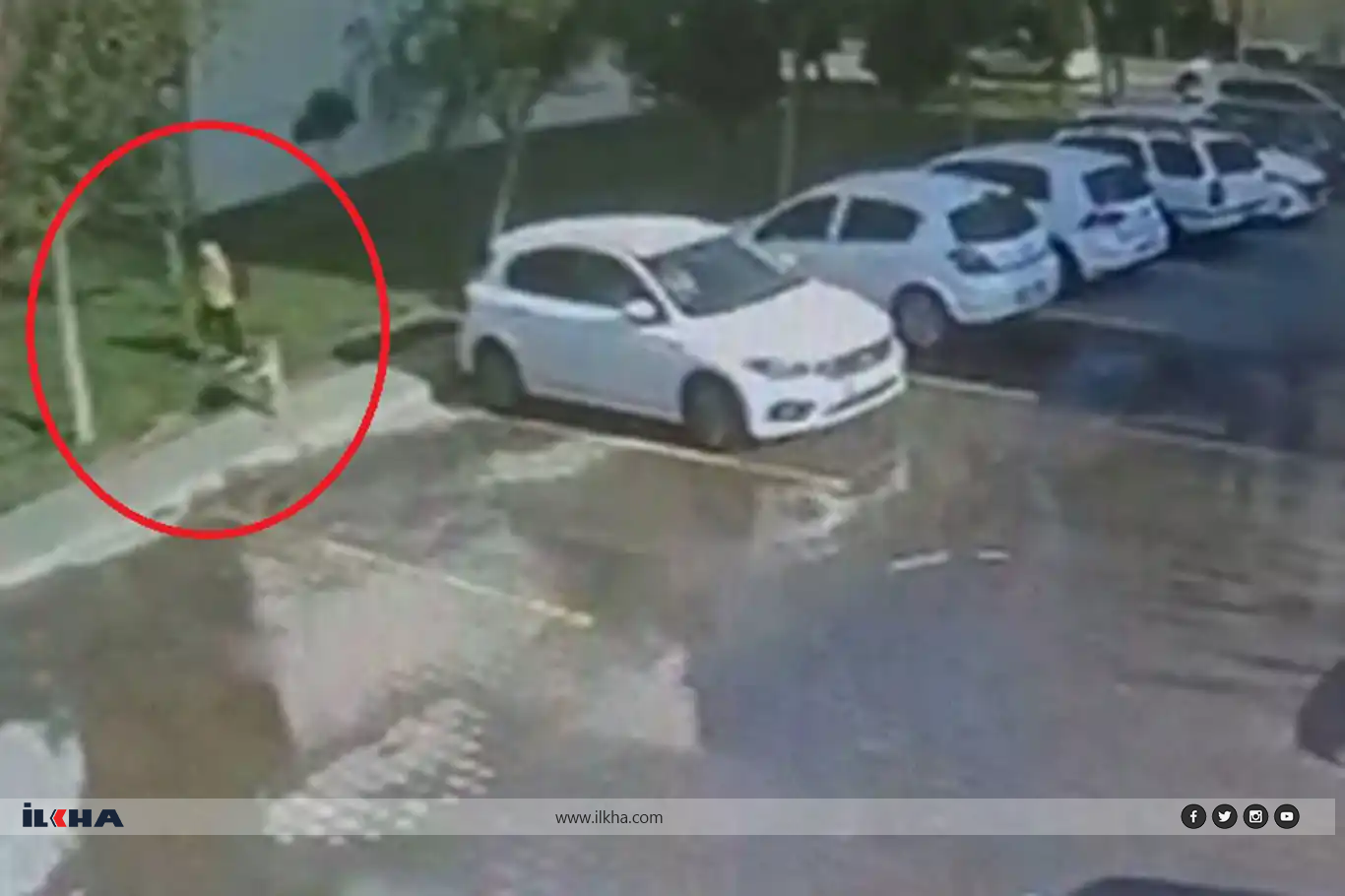 Diyarbakır'da köpek terörü güvenlik kameralarına yansıdı