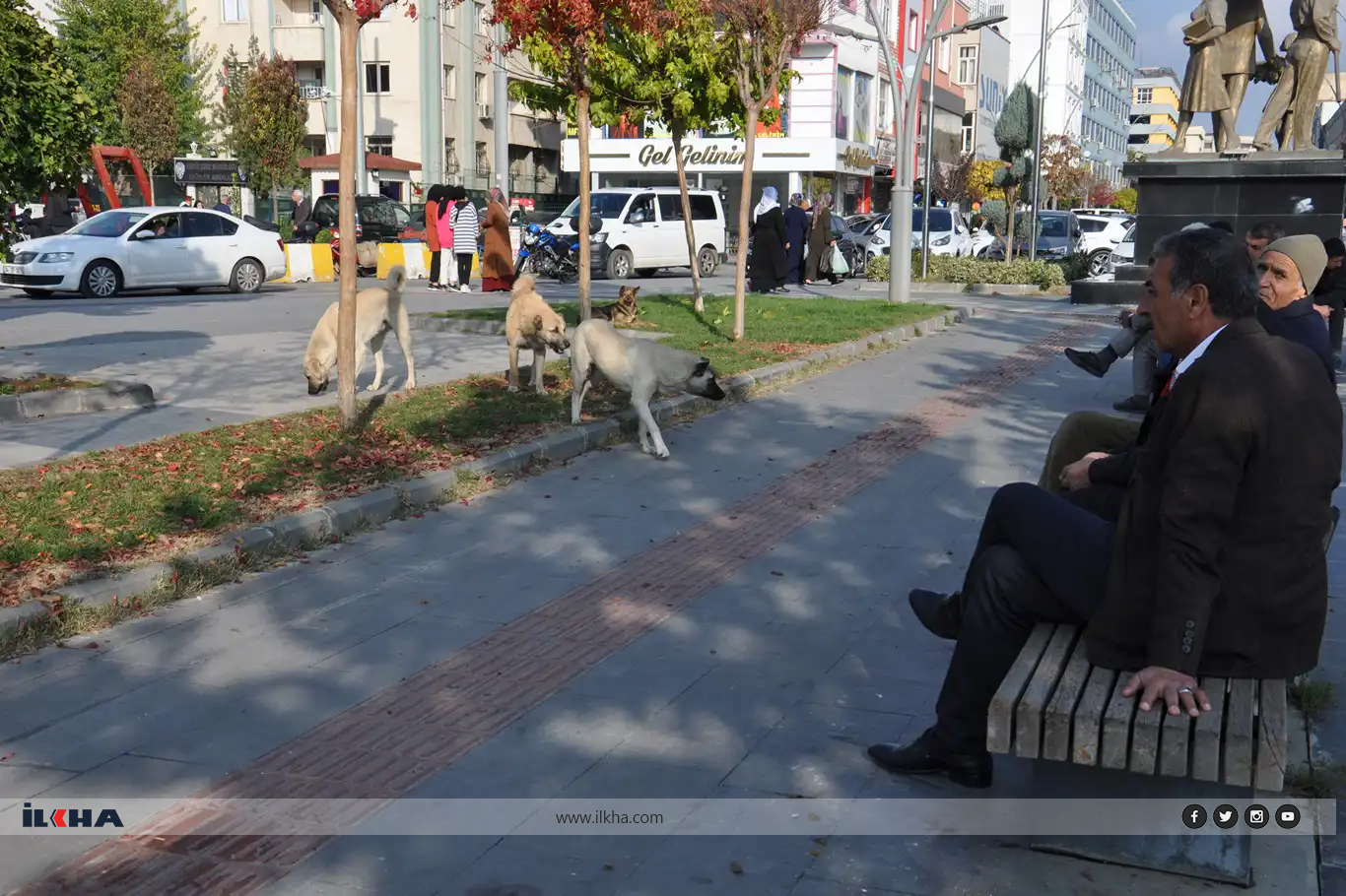 Uzmanlar uyarıyor: Köpek saldırılarına karşı nasıl bir yol izlenmeli?