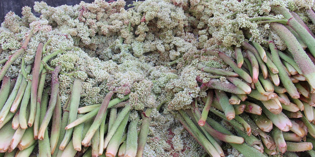 Büyük bir zahmetle toplanan "Yayla Muzu" Diyarbakır'da tezgahlardaki yerini aldı