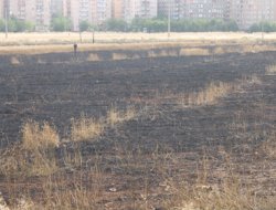 Diyarbakır'da yangın