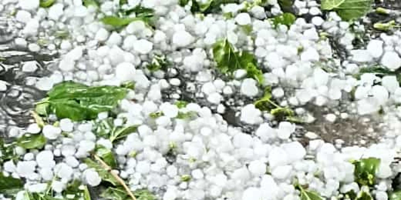 Çınar'da ceviz büyüklüğünde dolu yağdı