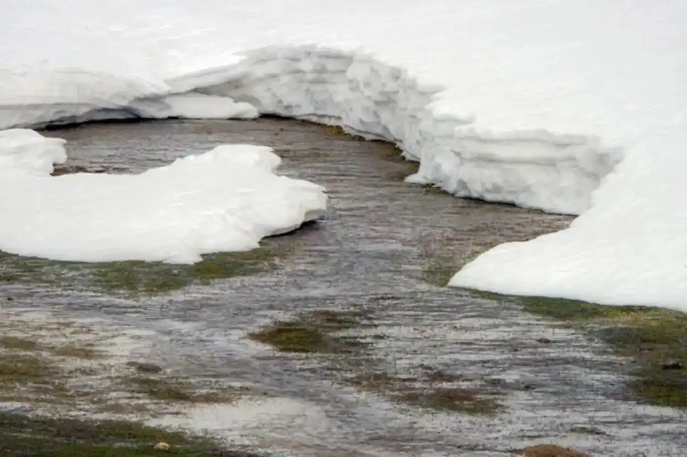 Ji bo Wan, Colemêrg û herêmên derdorê hişyarîya helîna berfê