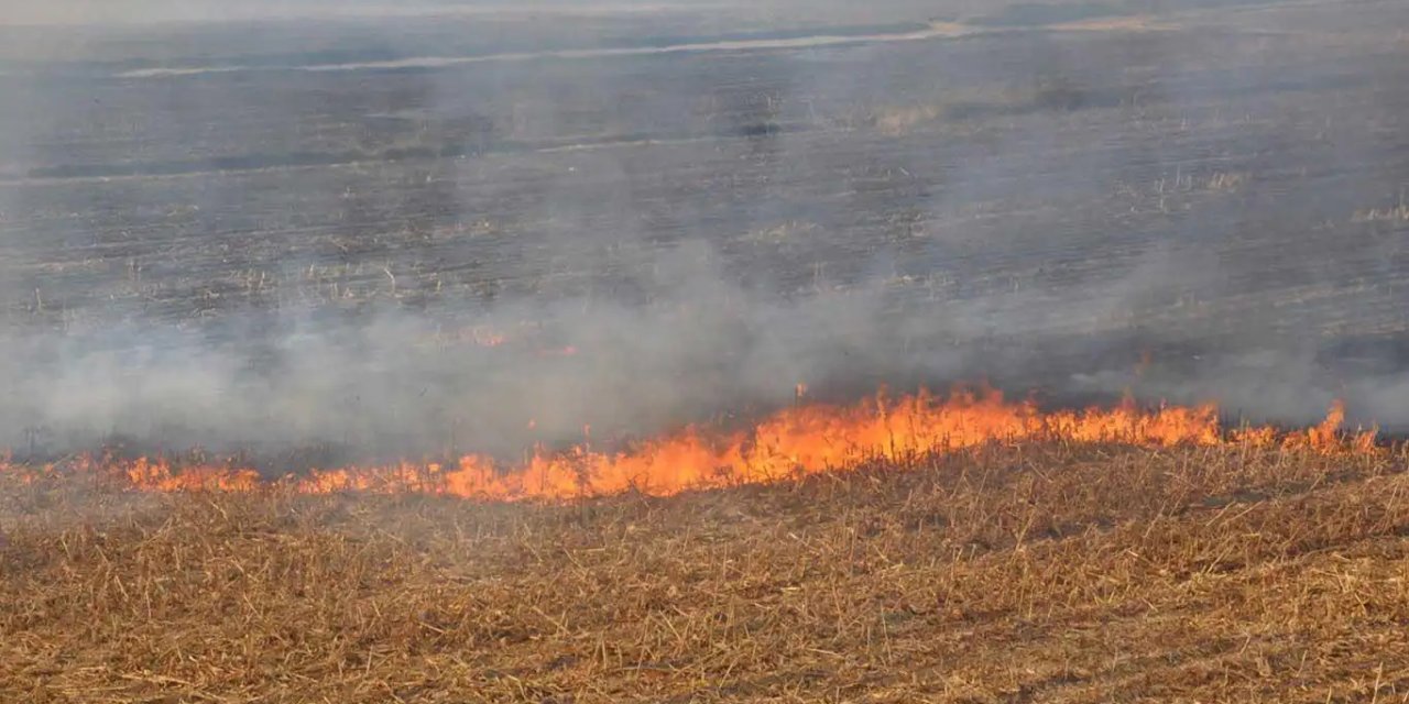 Diyarbakır'da anız yakanlara idari para cezası uygulanacak