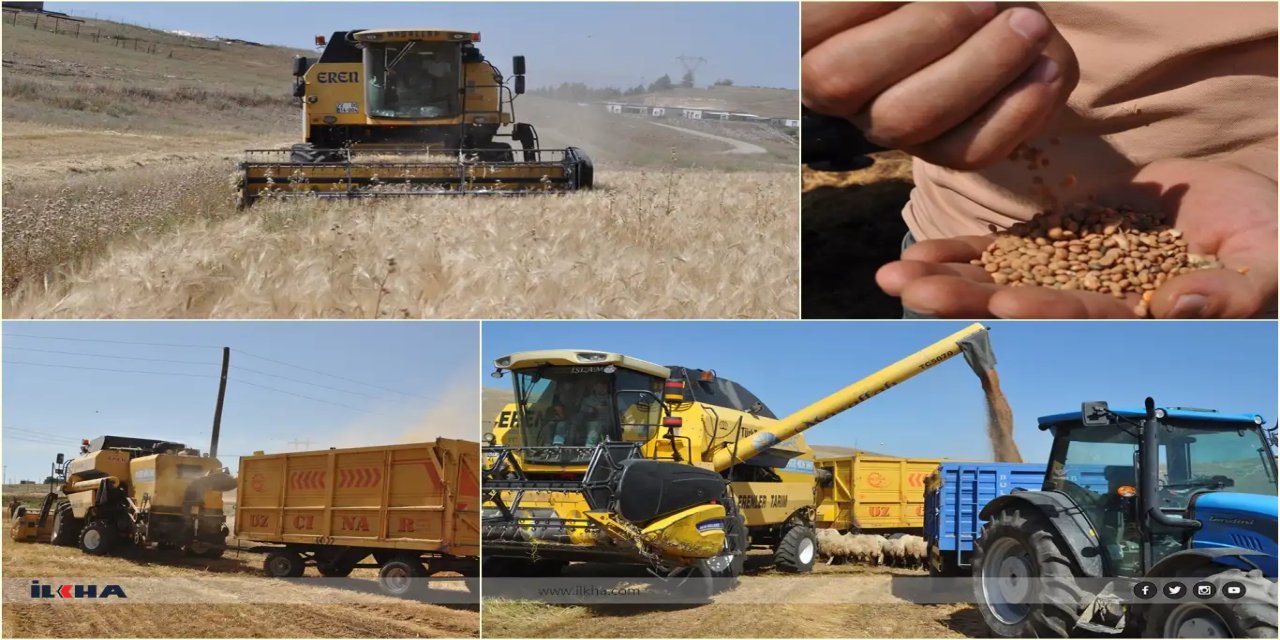 Li Êlihê palehîya nîsk û ceh dest pê kir