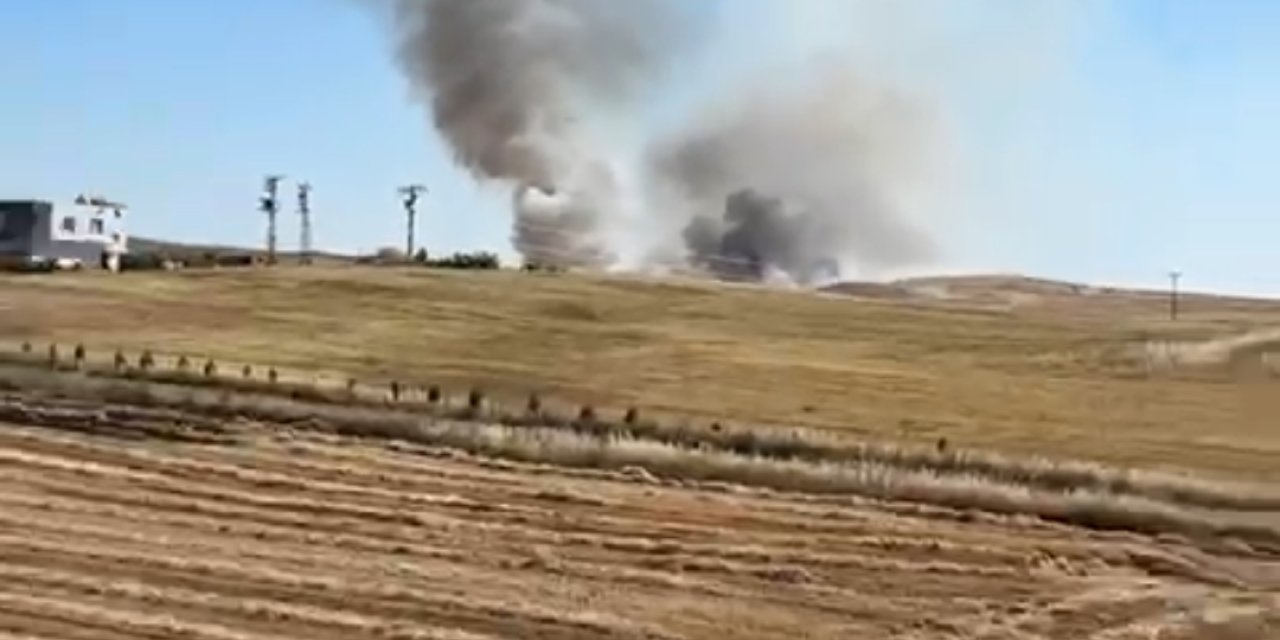 Çınar'da 50 dönüm ekili alan yandı