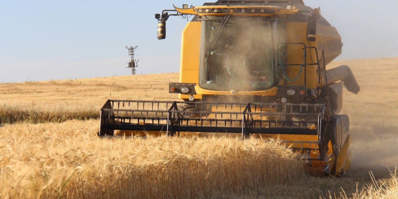 Çınarlı çiftçi hasattan memnun maliyetlerden şikayetçi