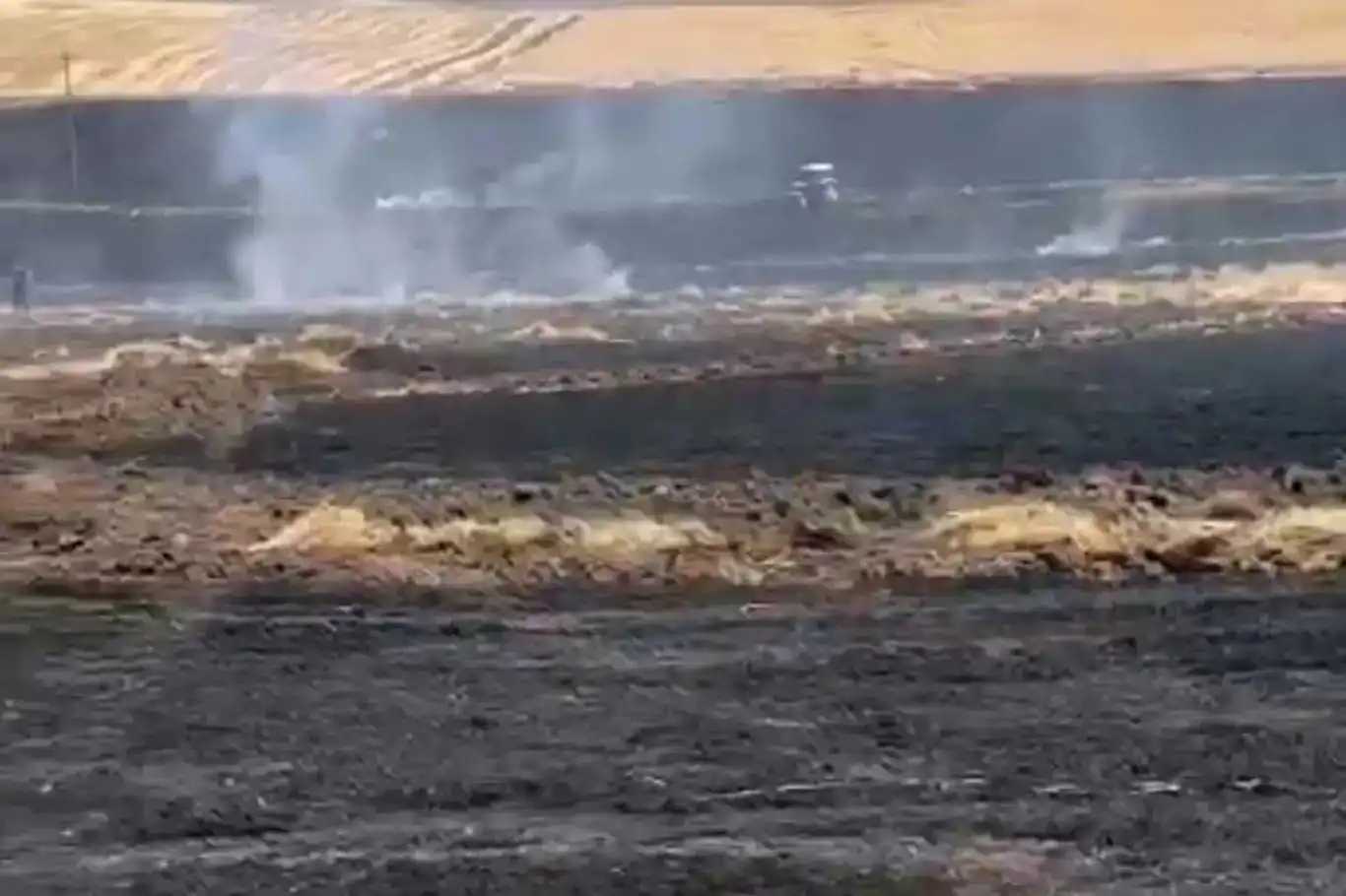 Li Bismilê di 4 cîhên cuda de şewat derket: 80 donim erd şewitî