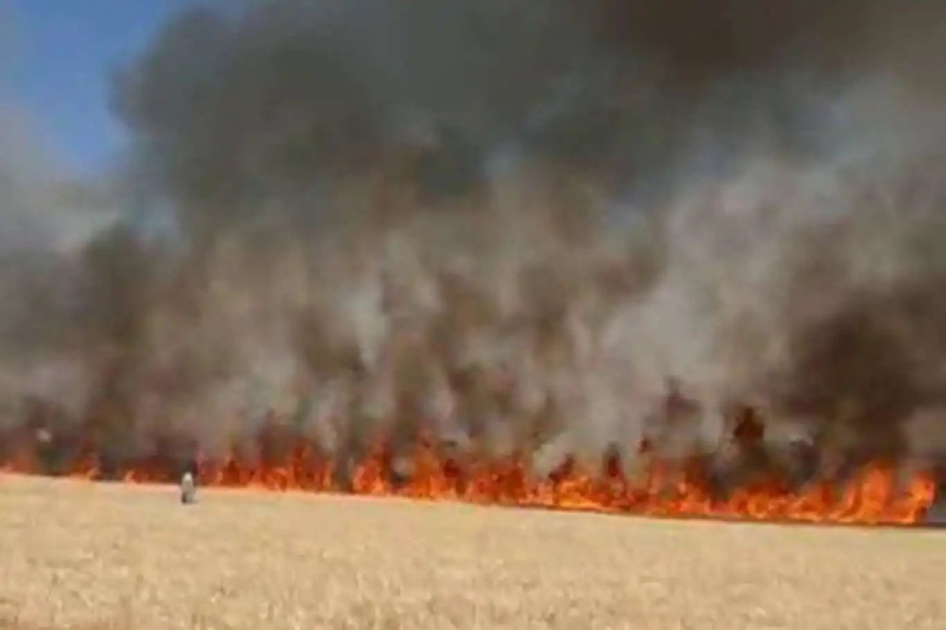 Diyarbakır'da yıldırım düşmesi sonucu 137 dönüm buğday tarlası yandı