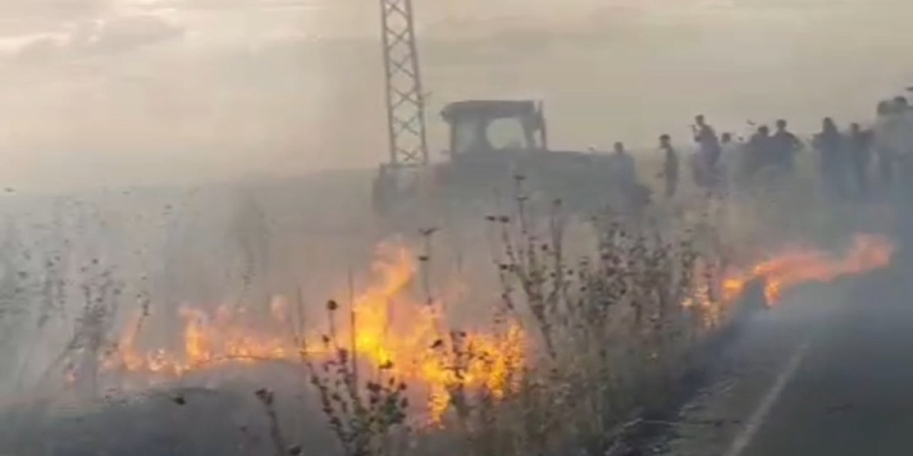 Çınar'da 3 farklı noktada çıkan yangında 70 dönüm ekili alan yandı