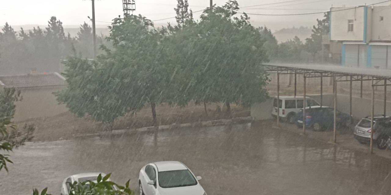 Çınar'da Haziran Ayı yağmuru serinletti