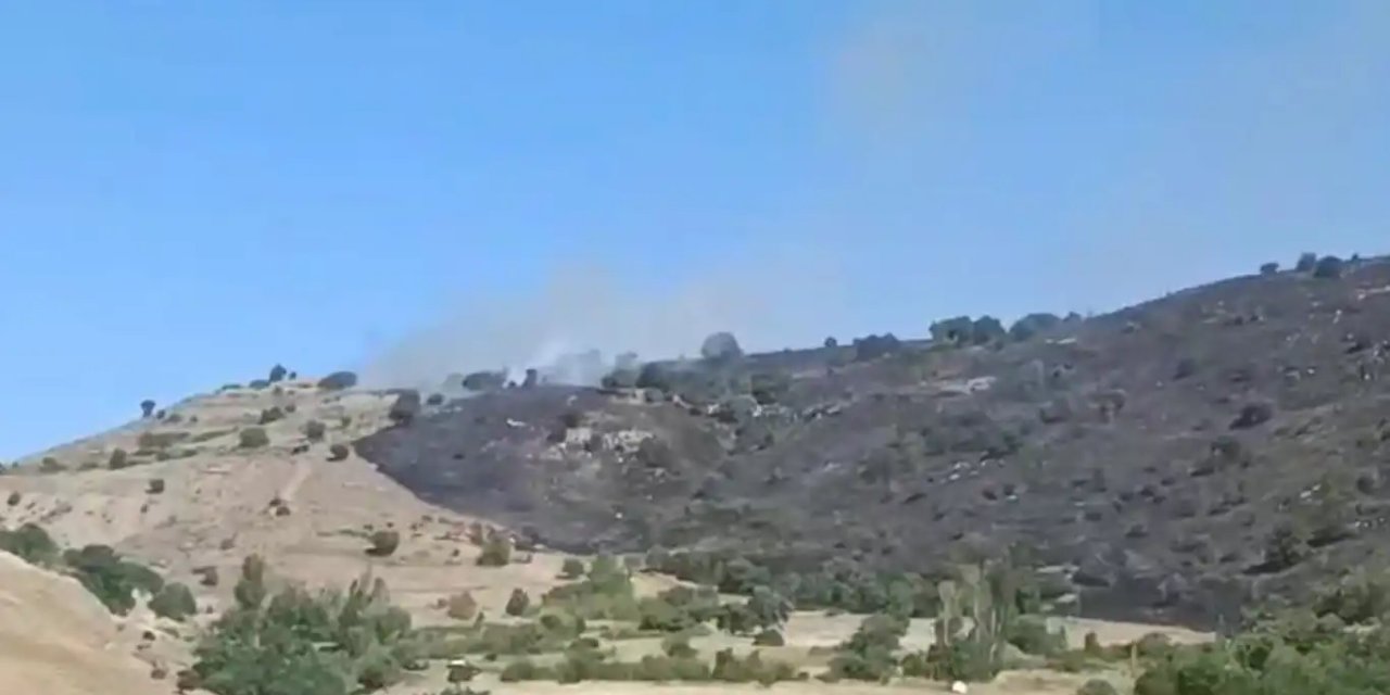 Ergani'de örtü yangını kontrol altına alındı