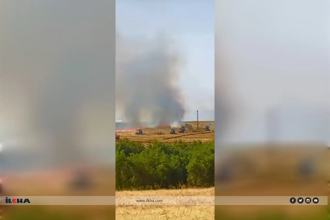 Li Mêrdînê hezar û 300 donim erd şewitî