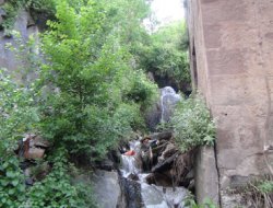 Kanalizasyon suyu mahalleden akıyor!