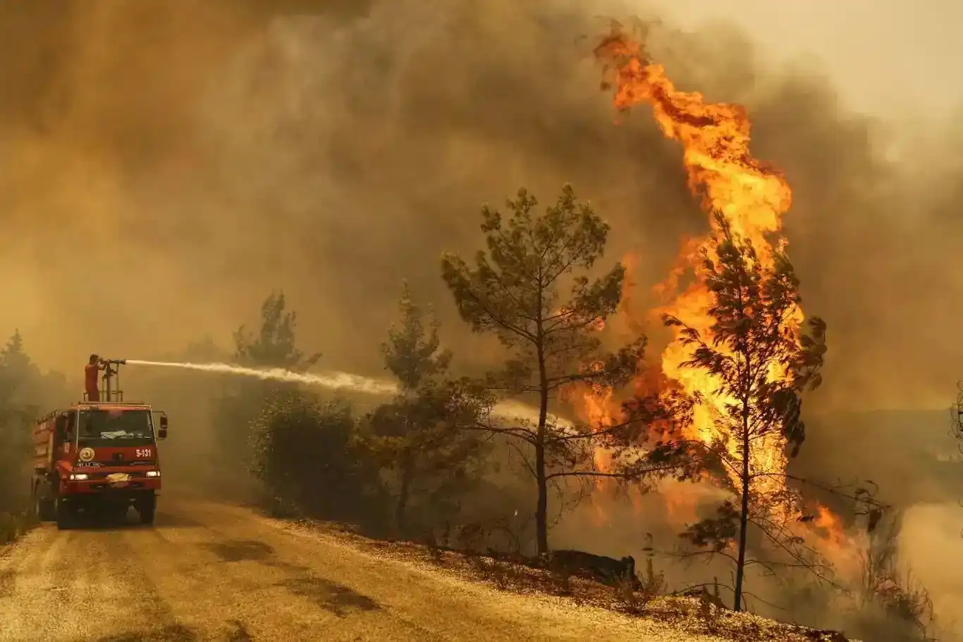 Li 4 bajaran şewata daristanê