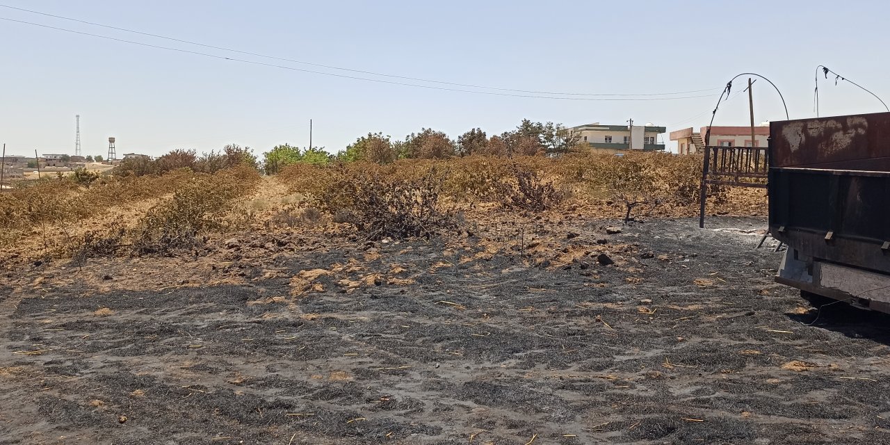 Di şewata li Dîyarbekir û Mêrdînê de hejmarê mirîyan derket 11 kesan