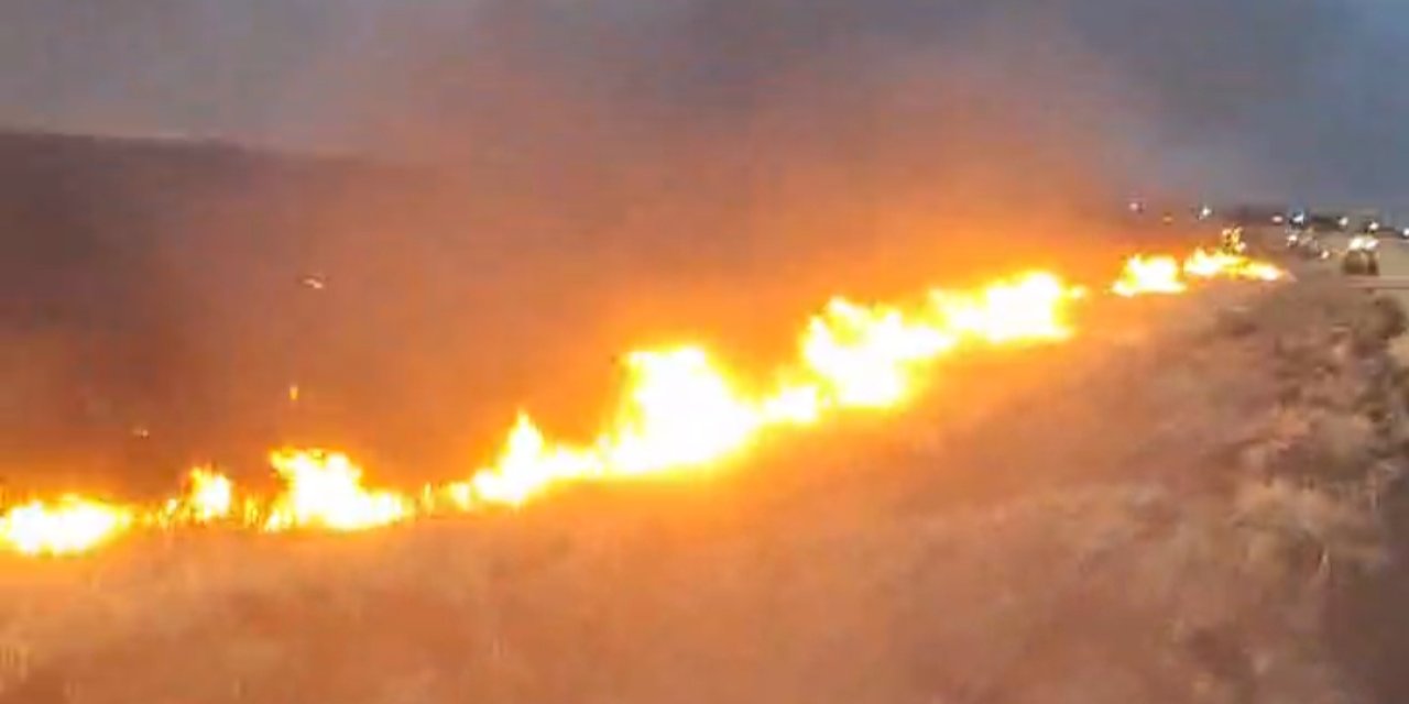 Çınar'da 60 dönüm ekili alan yandı