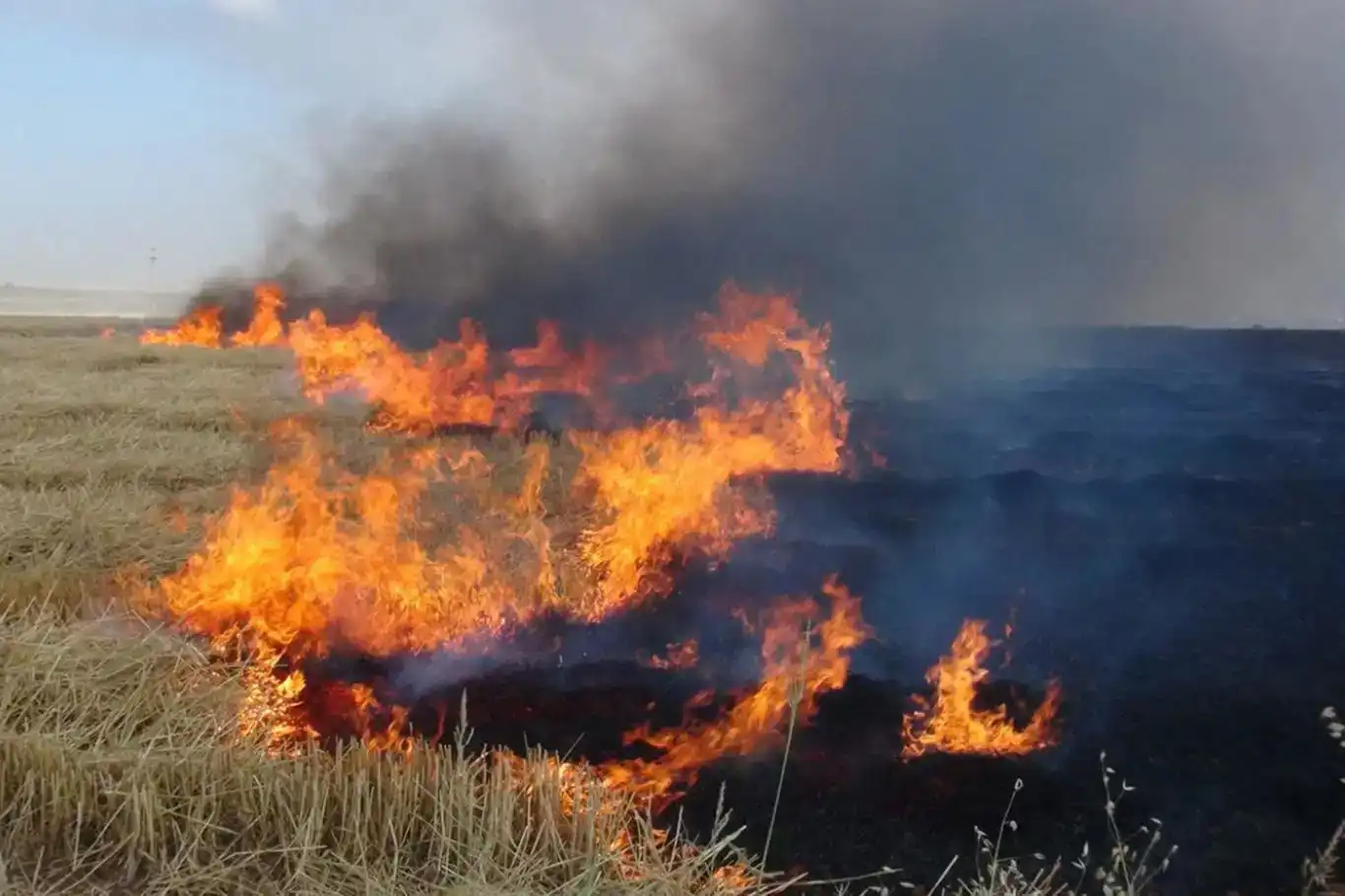 Li Şirnexê jî agir bi zadan ket