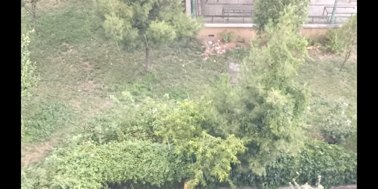 Diyarbakır'da yaz ayında şiddetli rüzgar ve yağmur