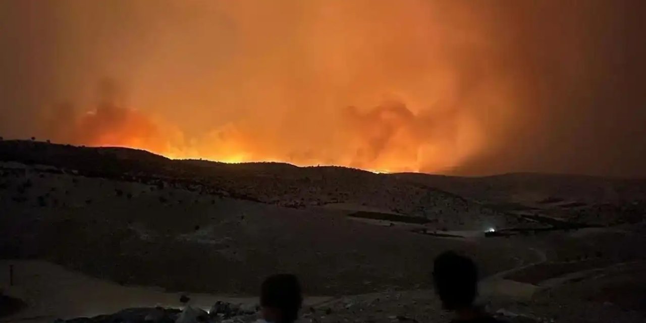 Diyarbakır ve Mardin'deki yangın felaketinde bine yakın hayvan telef oldu, binlerce dönüm yandı