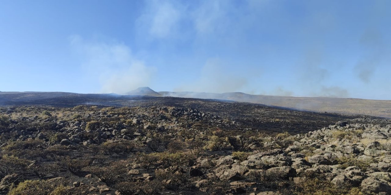 Karacadağ'da ormanlık ve otluk alanda tekrar yangın çıktı