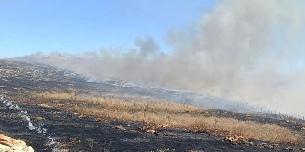 Silvan'da biçerdöverde çıkan yangın bin dönüm ekili alanı küle çevirdi