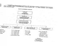 BÇG şemasının tepesindeki isim