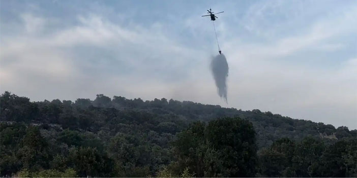 Diyarbakır'ın Lice ve Dicle ilçesinde çıkan orman yangınları büyümeden söndürüldü