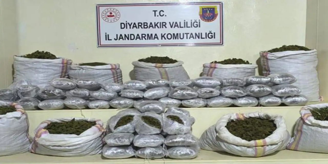 Diyarbakır'da 2 milyon 669 bin 630 kök kenevir ele geçirildi