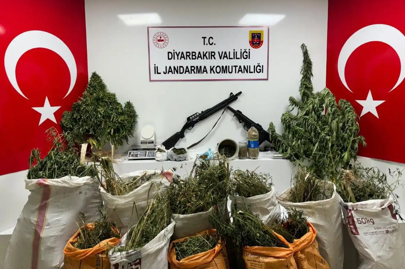 Diyarbakır'da 177 bin kök kenevir ve skunk bitkisi ile 65 kilogram esrar ele geçirildi