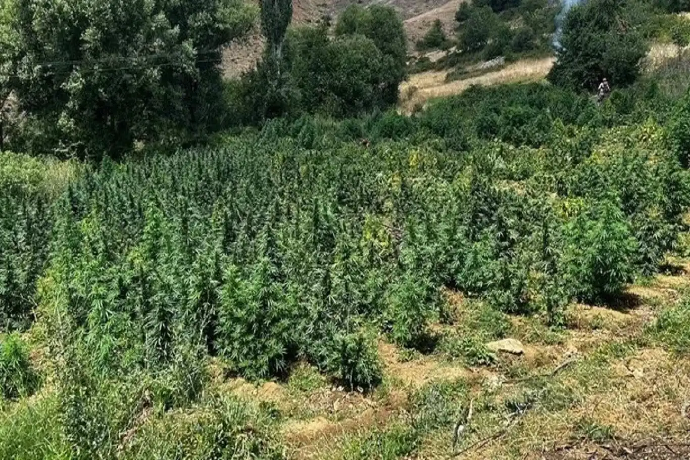 Diyarbakır'da yüklü miktarda uyuşturucu ele geçirildi