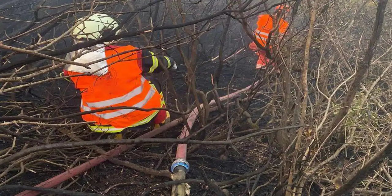 Şewata ku li Mêrdînê derket hat vemirandin