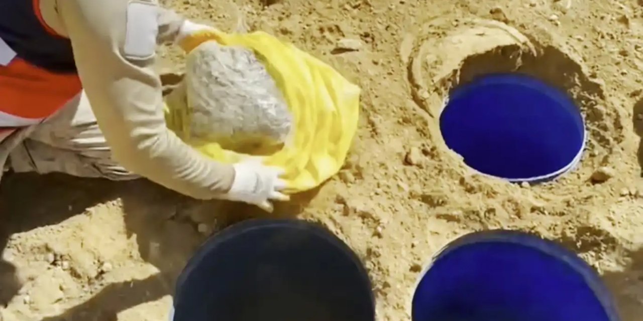 Diyarbakır'da 7 milyon adet kök kenevir ve skunk bitkisi ile 627 kilogram esrar ele geçirildi