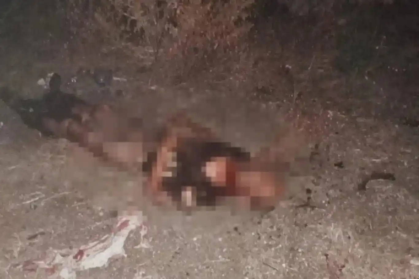 Mirovê ku dûçarê êrîşa kuçikên beredayî hat canê xwe ji dest da